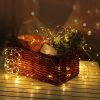 Decorative alb cald 50 LED 5 metri cupru şir de lumini cu baterii