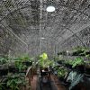 Plasă de umbrire verde - 1,5 x 25 m, 98% opacitate, 200g/m2, rezistentă la UV şi