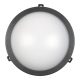 Plafonieră LED 12W 4000K rotundă neagră