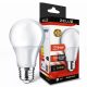 Zelux Led Globe A60 9W E27 3000K Bec glob